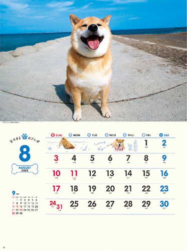 柴犬まるとおさんぽカレンダー