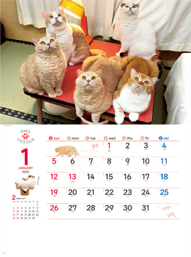 ねこと生活 みかんとじろうさんちカレンダー