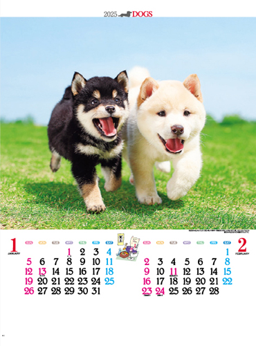 かわいい犬