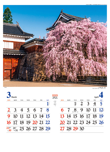 NO.223（TD-700）　詩郷