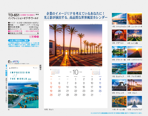 NO.291（TD-651)　インプレッション・オブ・ザ・ワールド