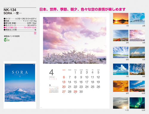 NO.295（NK-134）　SORA －空－