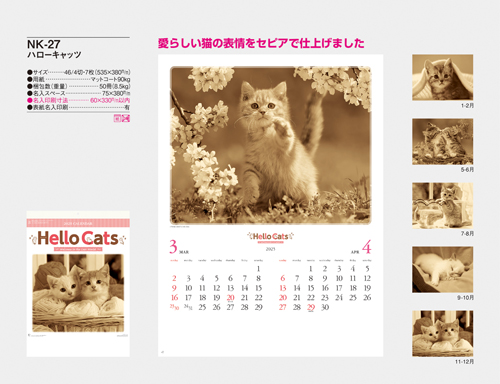 ハローキャッツ