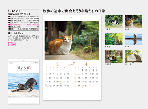 猫さんぽ〔2カ月玉〕