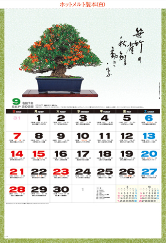 一木一草