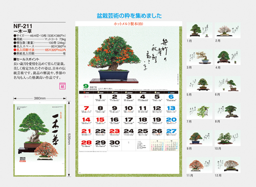 NO.653（NF-211）　一木一草