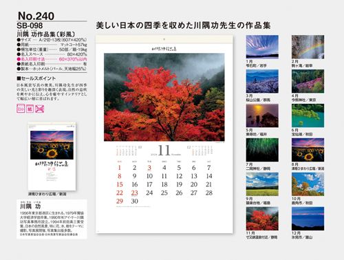 NO.240（SB-098）　川隅功作品集（彩風）