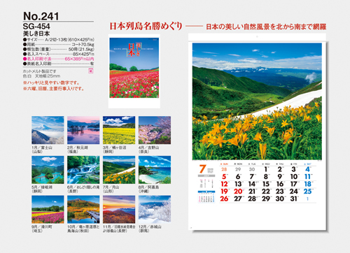 NO.241（SG-454）　美しき日本