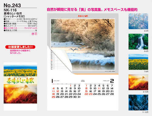 NO.243（NK-116）　素晴らしい自然