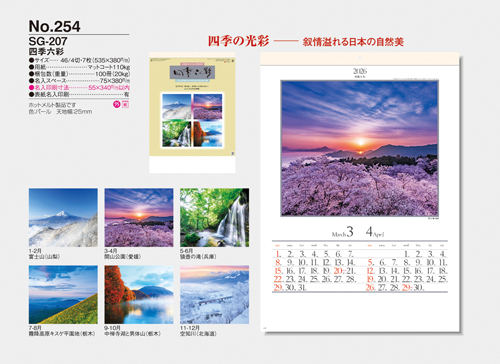 NO.254（SG-207）　四季六彩