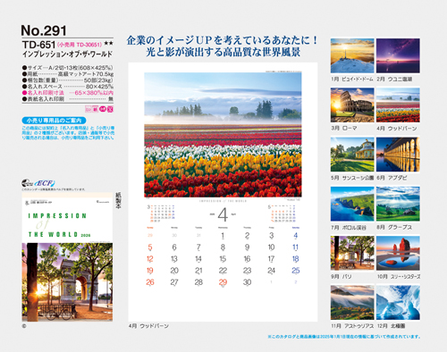 NO.291（TD-651)　インプレッション・オブ・ザ・ワールド