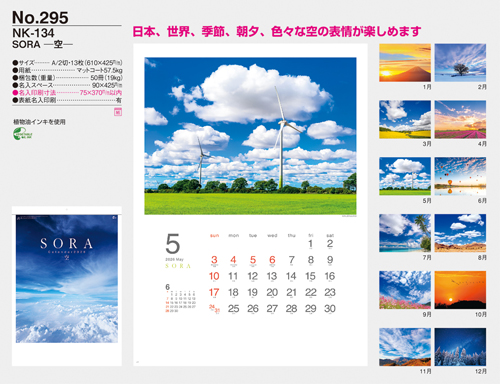 NO.295（NK-134）　SORA －空－