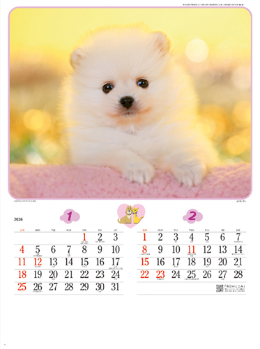 犬・猫・ペット