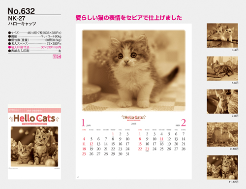 ハローキャッツ