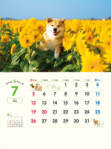 柴犬まるとおさんぽカレンダー