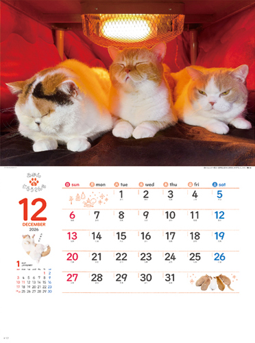 ねこと生活 みかんとじろうさんちカレンダー