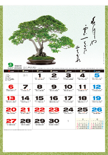 一木一草