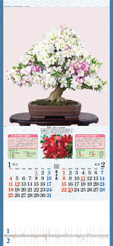 皐月集