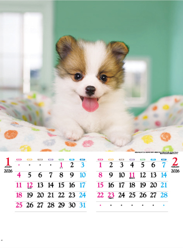 かわいい犬