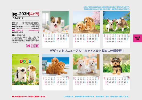 かわいい犬
